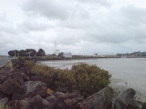 Eastern Part Of Foreshore, Near Project