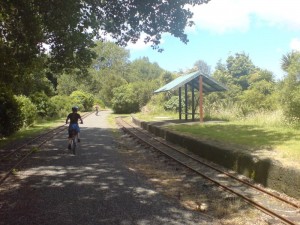 Riding Past A Tourist Train Station