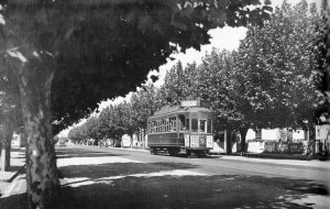 Jervois-Tram-and-Trees