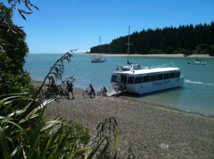 The Mapua cycle ferry