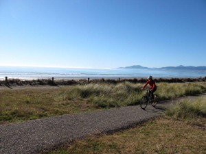 The Rabbit Island cycle trail running along the coast