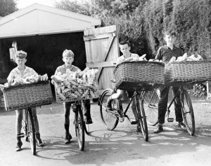 Delivery bikes 1950s