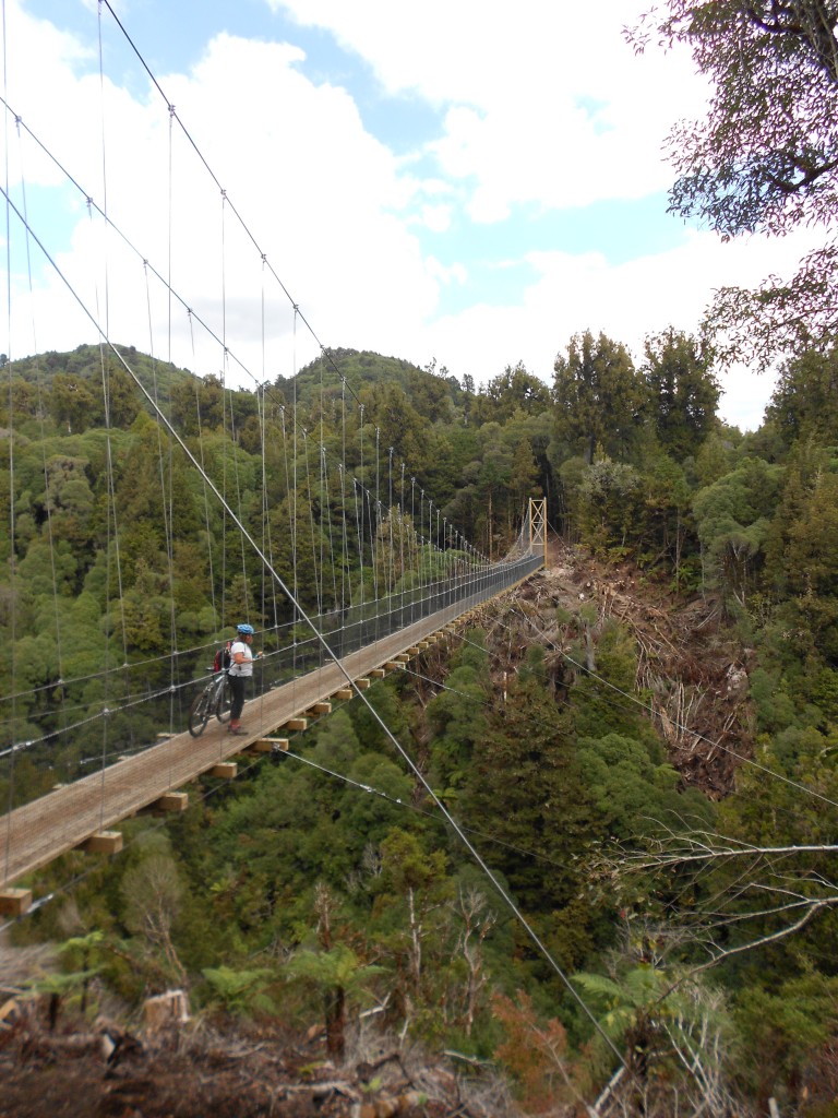 Timber trail viaduct April 2013