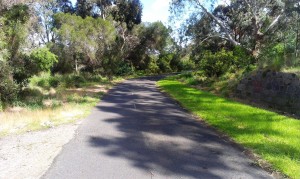 Cycle path through riverside park in Melbourne