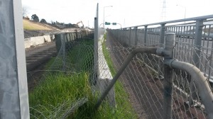 Te Atatu fence removal Fulton Hogan June 2014