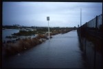Flooded NW cycleway