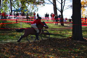 steeplechasebike