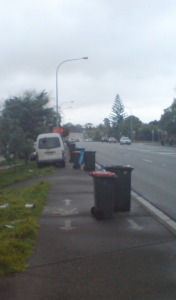 Maioro Street: This shared path in suburbia is a failure.