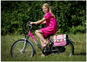 Legit actual princess on a bike – a shining inspiration for Auckland's ten-year plan for cycle infrastructure. (Pic of Princess Catharina-Amalia of the Netherlands, via http://bicycledutch.wordpress.com)