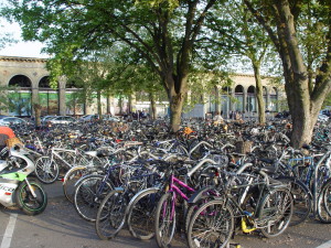 Just a few bikes outside Cambridge Railway Station (pic via Wikipedia)