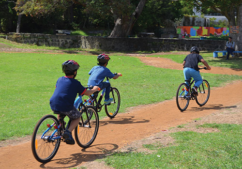 Freeman's Bay School bike track (pic via NZ Education Gazette)