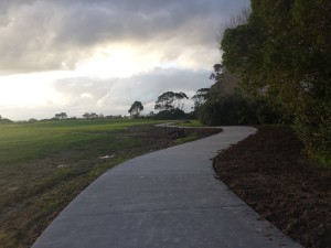 Newly completed Archibald section of the Whau River Pathway