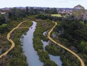 Te Whau Pathway under way - now let's keep track of progress!