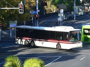 Buses are big.