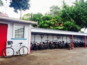 Back to Bike School - bike classes & workshops for beginners