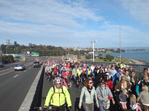 Auckland_Harbour_Bridge_Protest_02