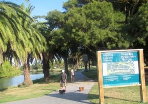 Rere Falls Trail park cycleway