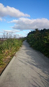 Leaf it to the Parks Department: trimming greenery along cycleways