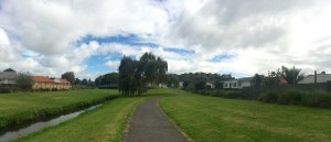 A bike path to a Greenway in Mt Roskill