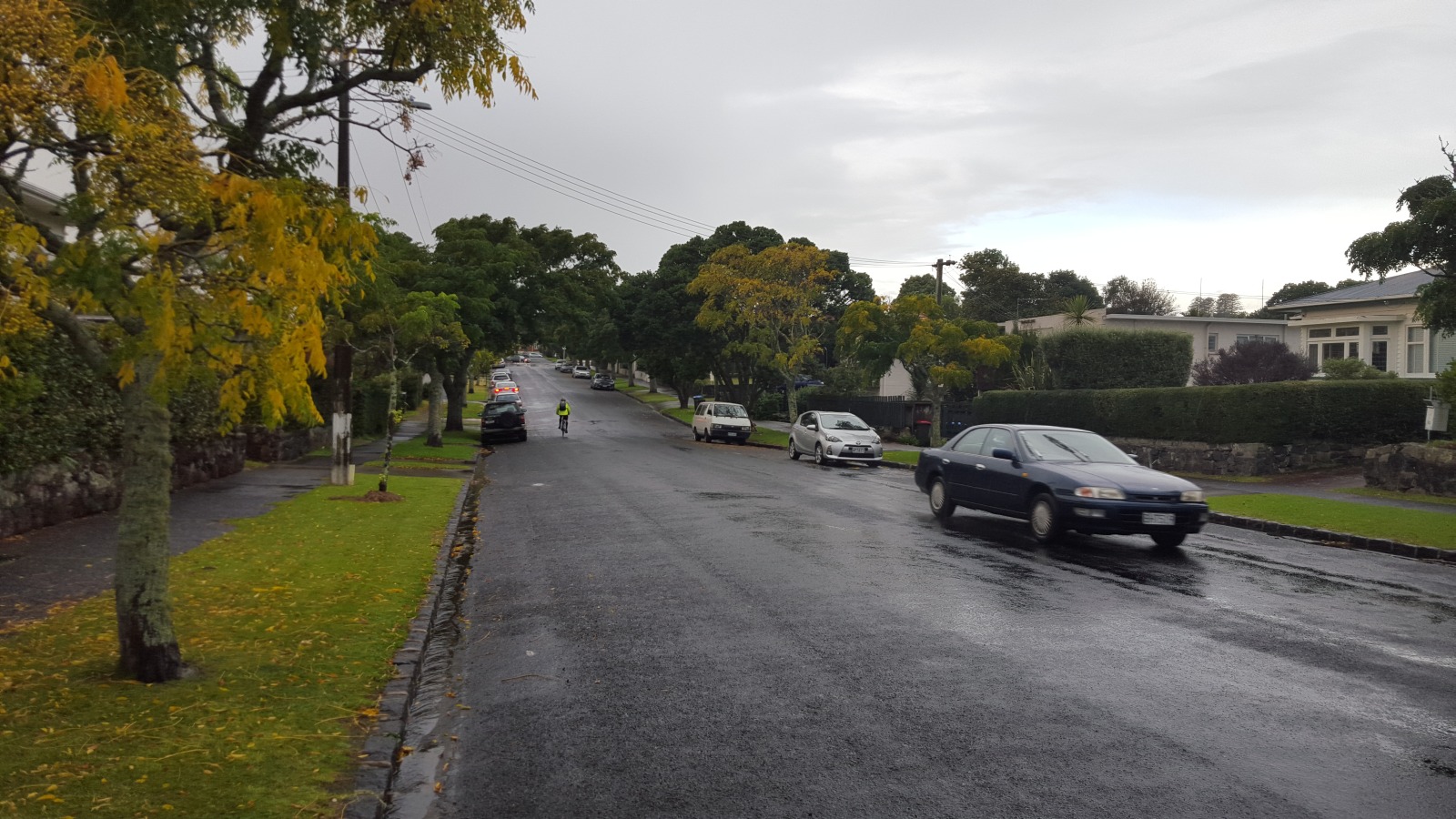 Margaret Ave - a typically over-sized local street in Northern Mt Albert. 