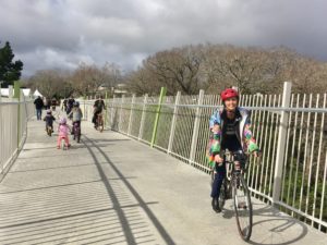 Connecting the whenua: a bridge to Waterview