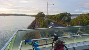 The future of Tamaki Drive - unveiled! (on Thursday)