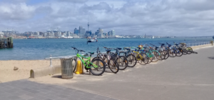 Join us to talk bike parking at Devonport Ferry Terminal