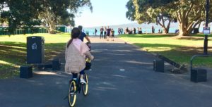 A better beachfront boulevard - Mission Bay and St Heliers need you!