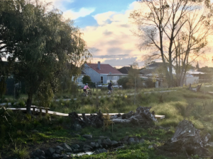 A river runs through it: the Te Auaunga Restoration