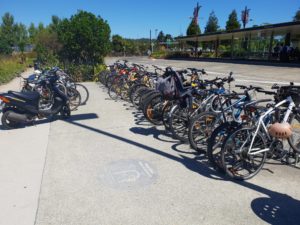 Bike Parking at Northern Busway Stations