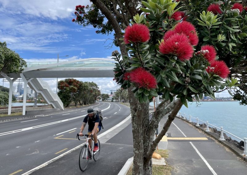 2022: Tāmaki Drive Cycleway opens