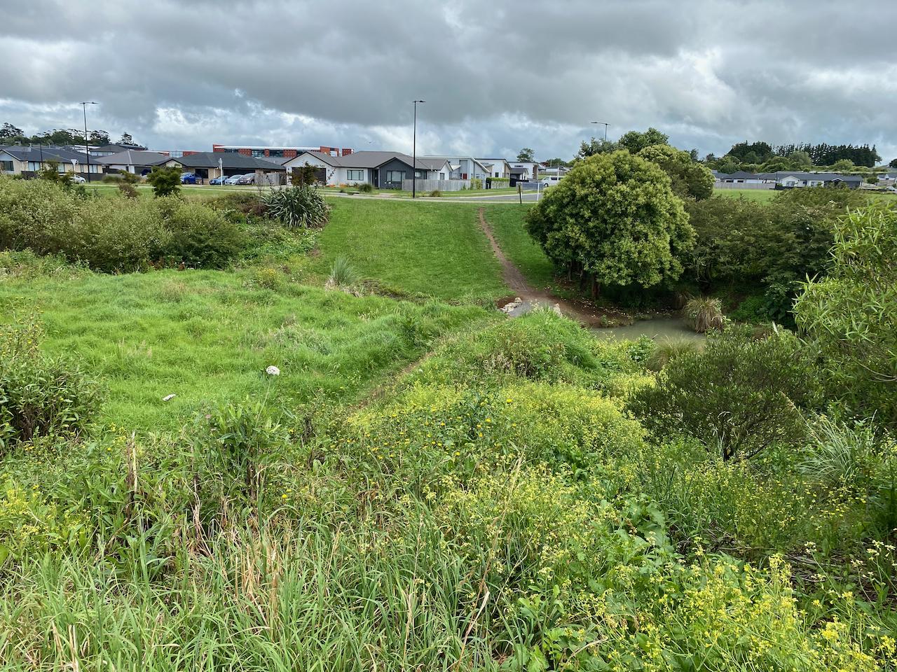 Photo of Ray Fausett Reserve