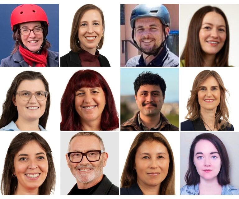 Collage of 12 candidate faces