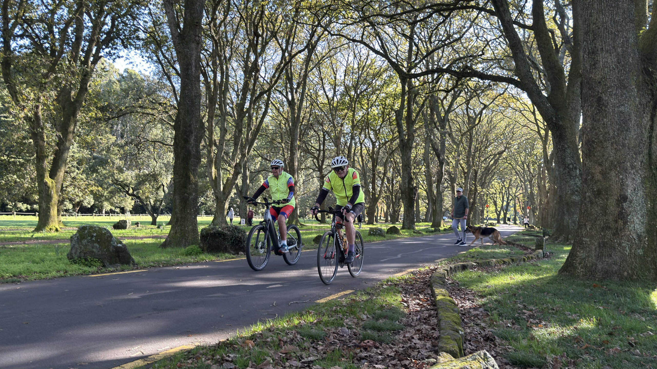 people biking in a park