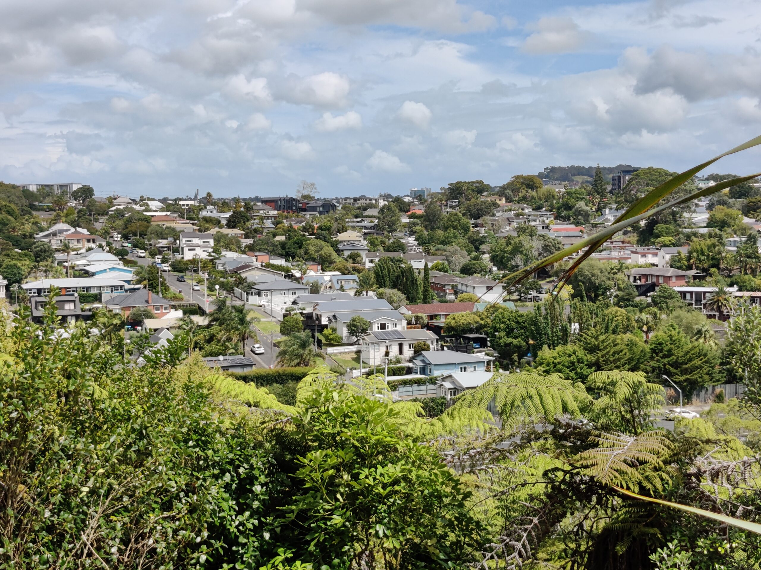 Looking down over bush into Kingsland Morningside